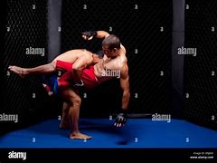 Image result for Mixed Martial Arts Moves