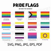 Image result for Pride Flag Pin
