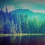 Image result for Simple Nature Wallpaper for Room