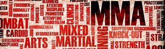 Image result for MMA Banner