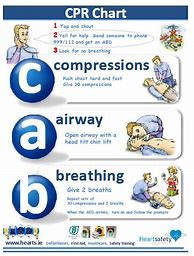 Image result for Free Printable CPR Instructions