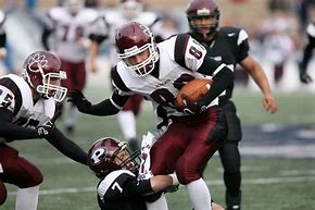 Image result for Best Te American Football