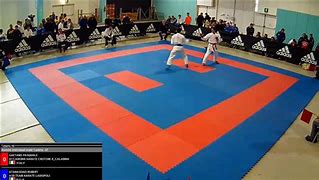 Image result for Swing Kick Karate