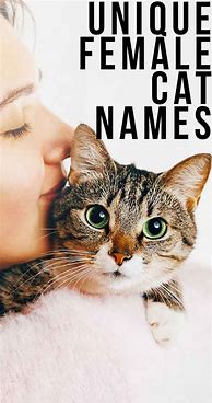 Image result for Interesting Cat Names