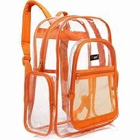 Image result for Clear Backpacks for School