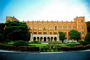 Image result for Tokyo University Hoodie