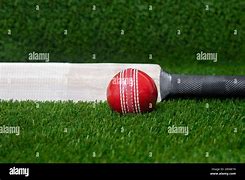 Image result for Horizontal Cricket Bat