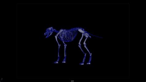 Image result for Alien Cut Groug
