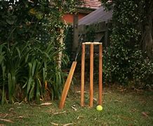 Image result for Australia Day Backyard Cricket
