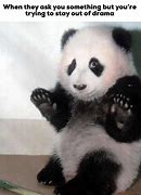 Image result for Panda Question Meme