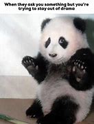 Image result for Old Panda Funny