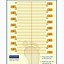 Image result for Inches to Feet Chart for Kids