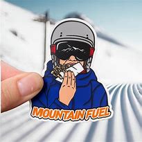 Image result for Ski Helmet Stickers