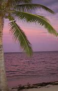 Image result for Blue Lagoon Belize