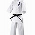 Image result for Karate Gi Kata Cut
