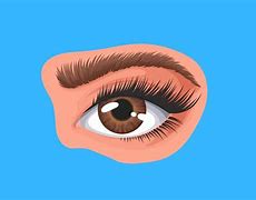 Image result for Funny Eyebrows