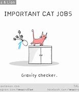 Image result for Office Cat Memes Humor