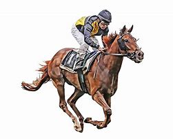 Image result for Horse Racing Front View