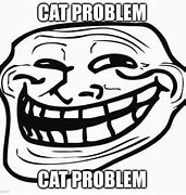 Image result for Cat Problem Meme