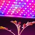 Image result for 1000W LED Grow Light