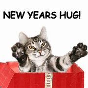 Image result for Happy New Year Cat Meme