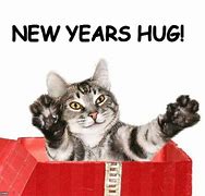 Image result for New Year's Eve Cat Memes