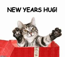 Image result for Cat New Year Mene