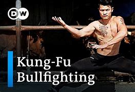 Image result for Kung Fu Bullfighters