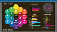 Image result for Top 10 Infographic
