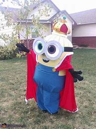 Image result for Universal Studios Minion Costume