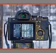 Image result for Sony A7 Back