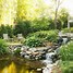 Image result for Cascade Water Features for Garden