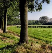 Image result for Rural Netherlands