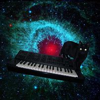 Image result for Cats On Synthesizers in Space