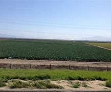 Image result for 75 Town and Country Vlg, Castroville, CA 94301 United States