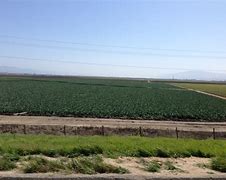 Image result for 10700 Merritt St., Castroville, CA 95012 United States