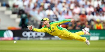 Image result for Australian Cricket Authors