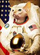 Image result for Astronaut Cat Cartoon