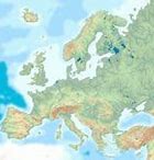Image result for Europe Relief Map Poster