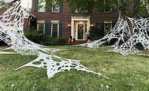 Image result for Spider Web Decorations for Halloween