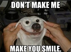 Image result for Smile What Face Meme