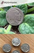 Image result for Indian Nickel Snaps
