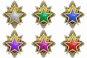 Image result for CS Service Medals