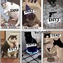 Image result for How Dare You Love Me Meme MBTI