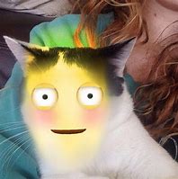 Image result for Cat Filter Meme
