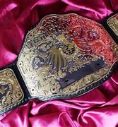 Image result for Unique Wrestling Belts