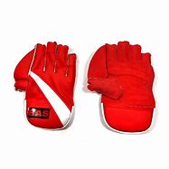 Image result for Bas Club Wicketkeeper Gloves