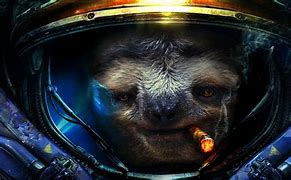 Image result for Show Me a Picture of a Sloth Space