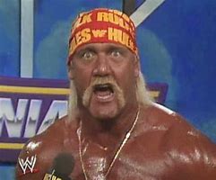 Image result for WWE Wrestling Hulk Hogan