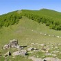 Image result for Wutai Mountain Five Flat Peaks